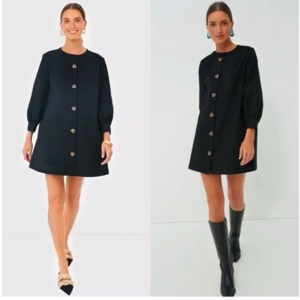 Tuckernuck Dress Blake, long sleeve Button Front Mini in Black